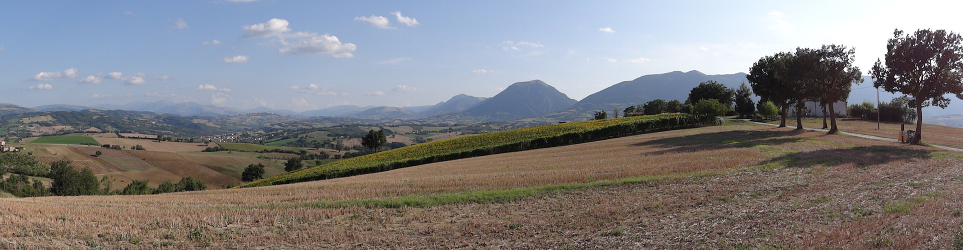 fonterama vista 1