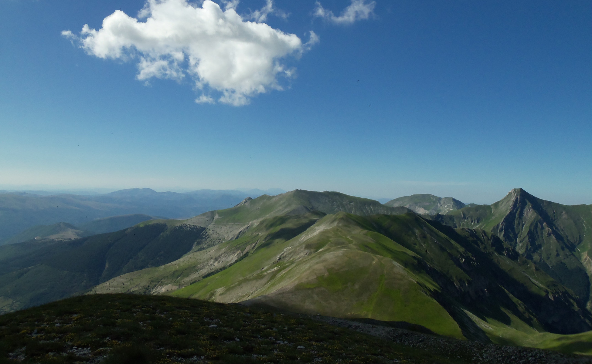 fonterama vista 1